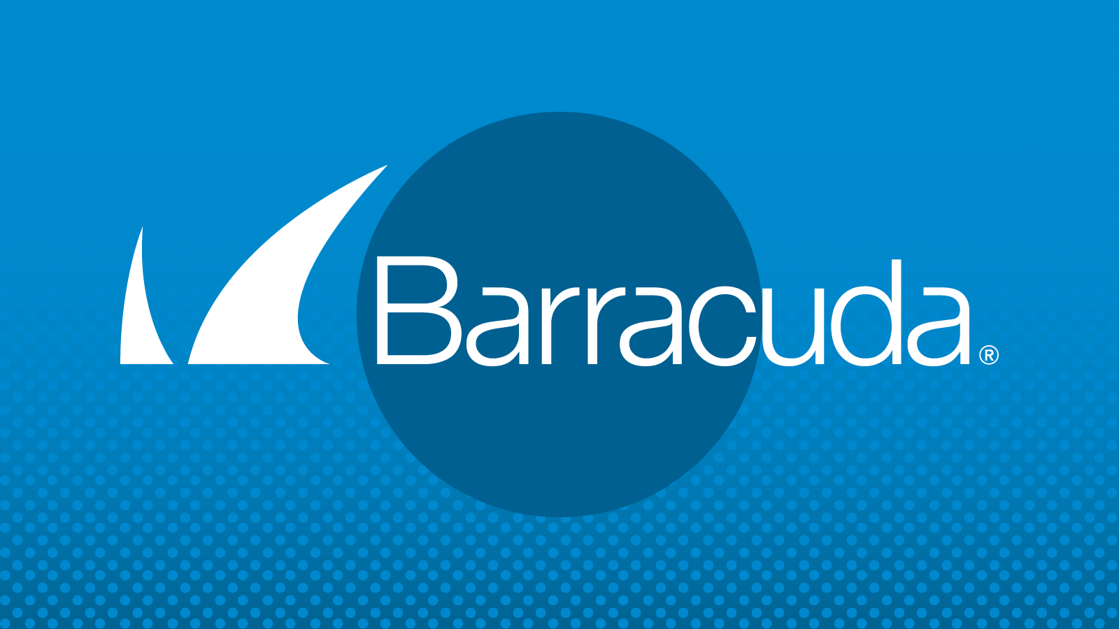 Image for What’s the Barracuda Spam Filter and Blocklist All About?