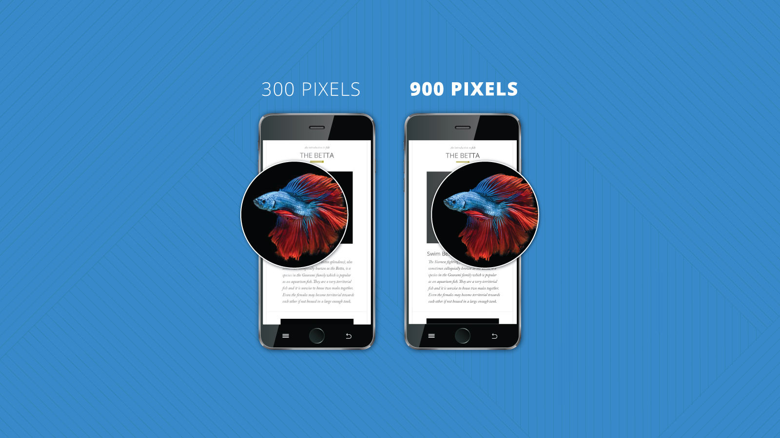 Image for Fluid Retina Images for Email