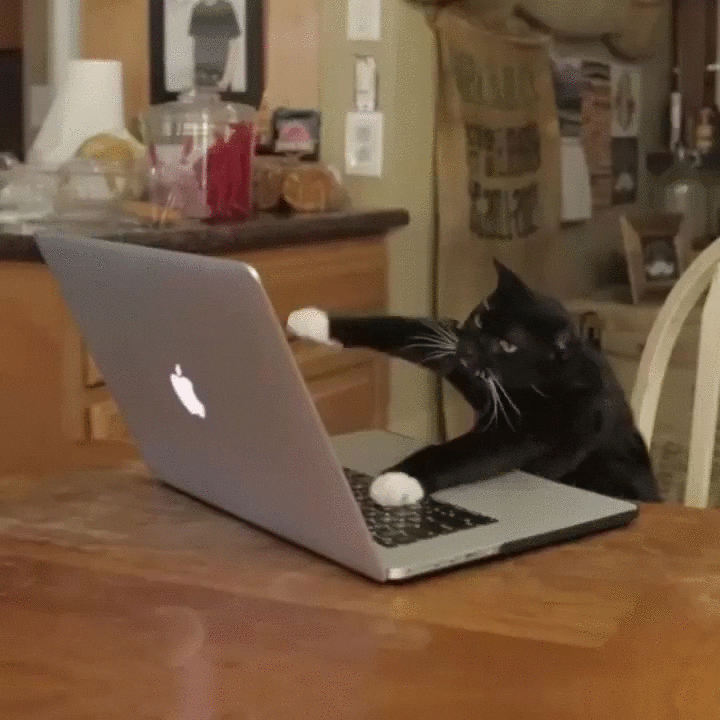 Good email UX takes time, but it's worth it in the end.