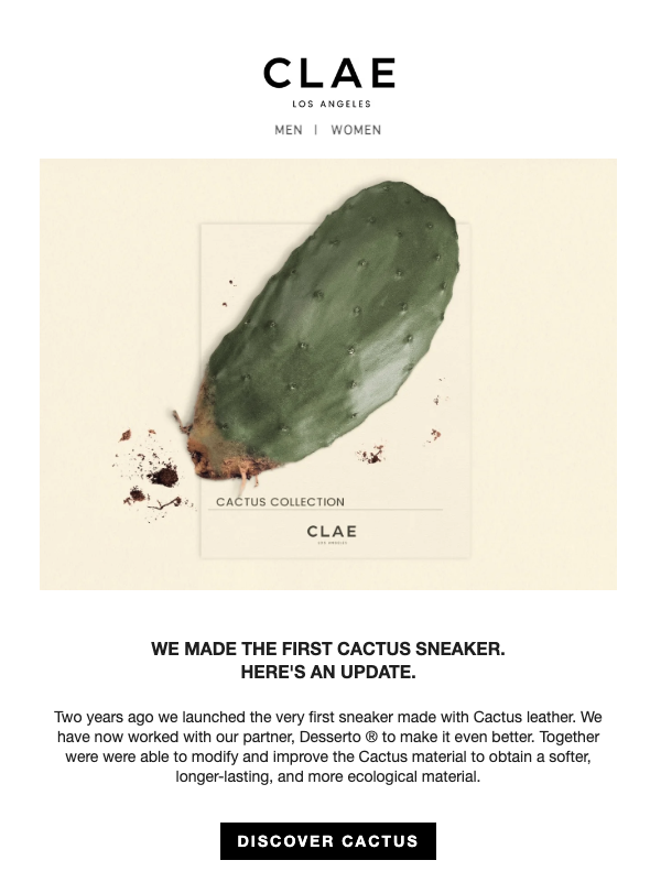 Cactus image on a minimalist email design